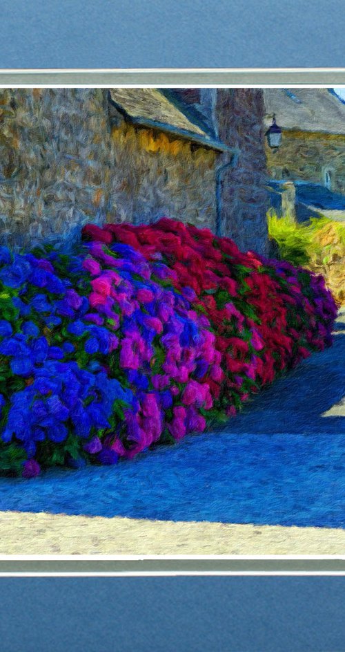 Hydrangeas on French Backstreet Impressionism by Robin Clarke