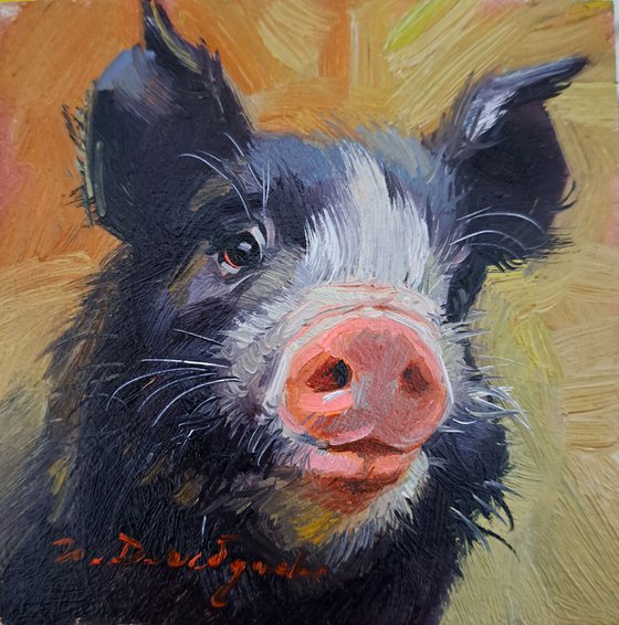 Pig portrait