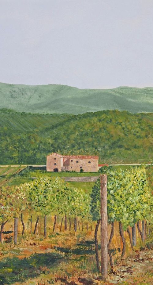 San Sano Vineyard by Steven Fleit