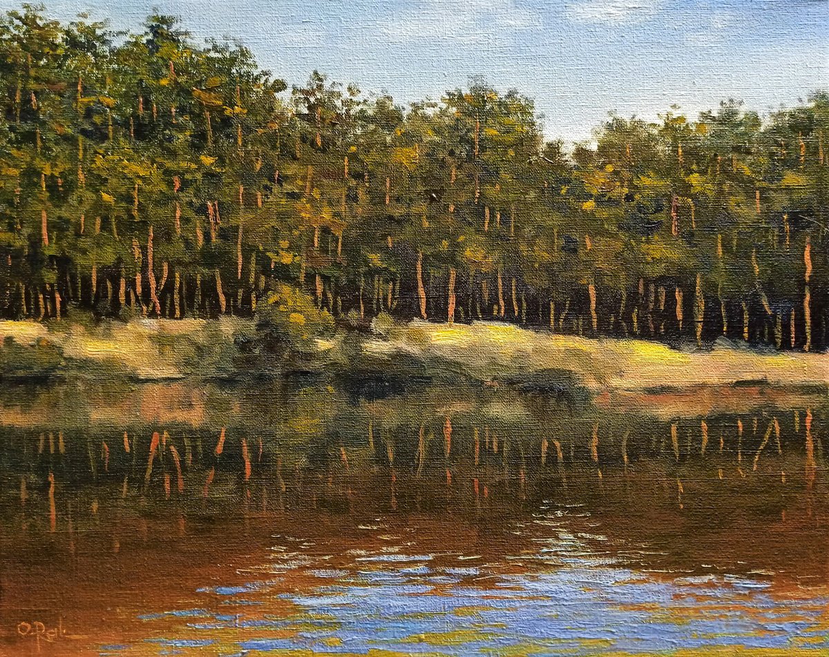 Pines on the shore by Oleh Rak