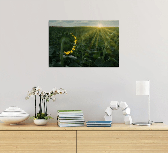 Turning to the Light