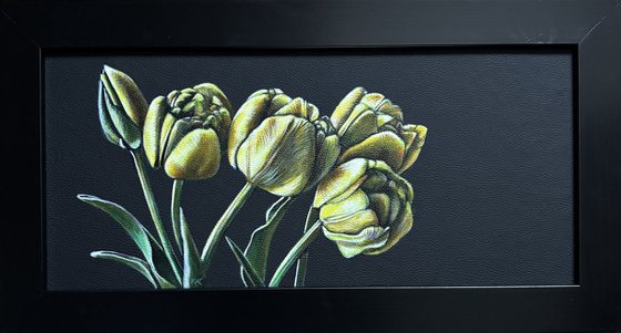 Yellow Tulips