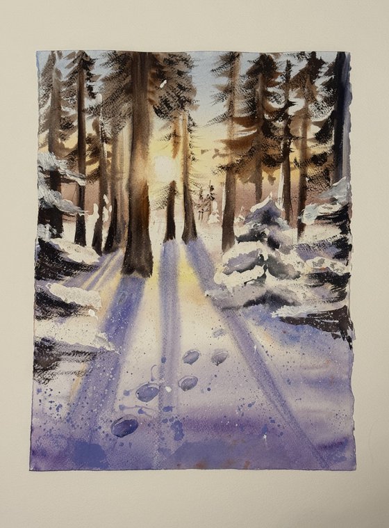 Winter forest