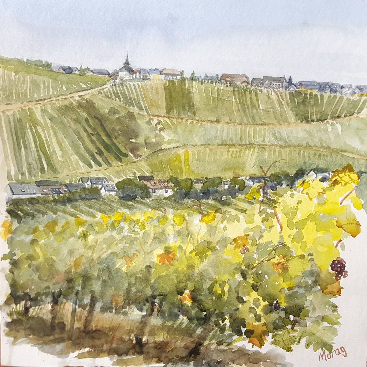 Vineyards on the Mosel by Morag Paul