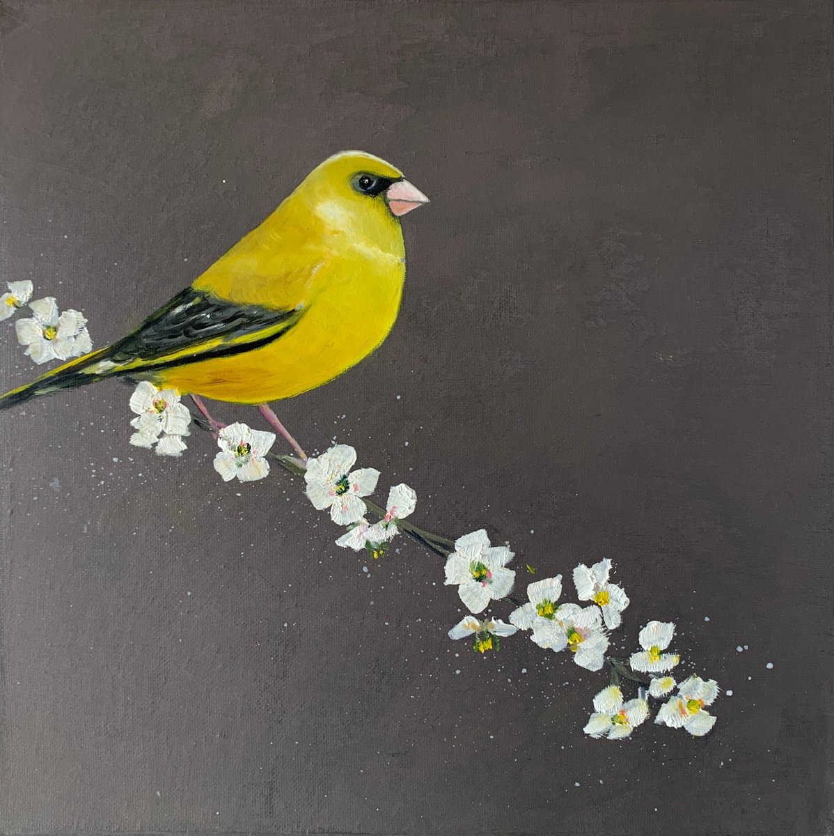 Greenfinch on Cherry Blossom by Laure Bury