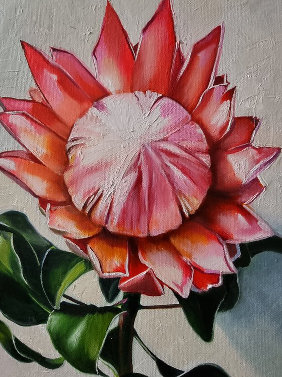 "About the African rose."  still life summer Protea flower liGHt original painting  GIFT (2021)