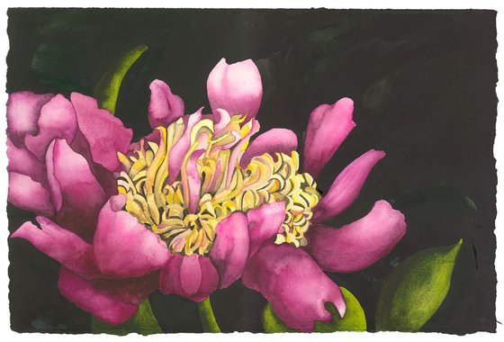 Spring Surprise