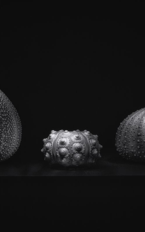 Sea Urchins light sculpted by Paul Nash