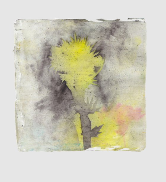 Thistle