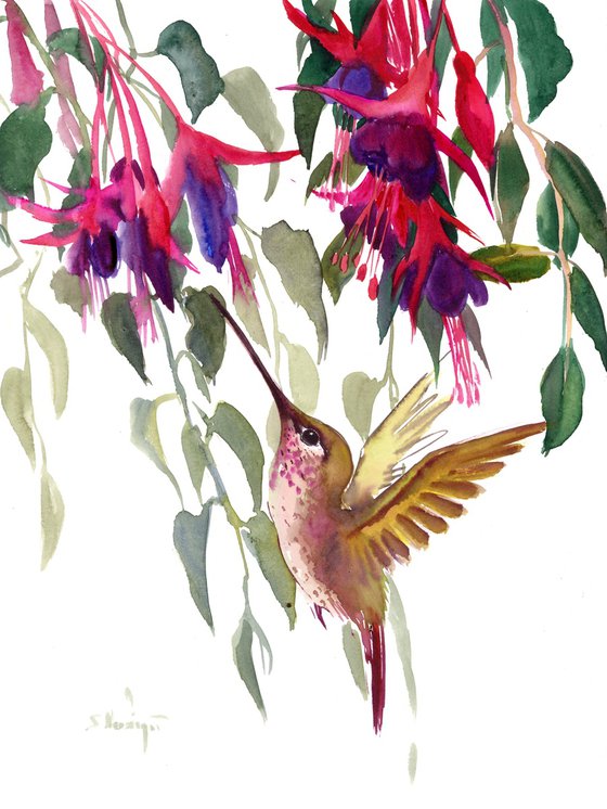 Fuchsia and Hummingbird