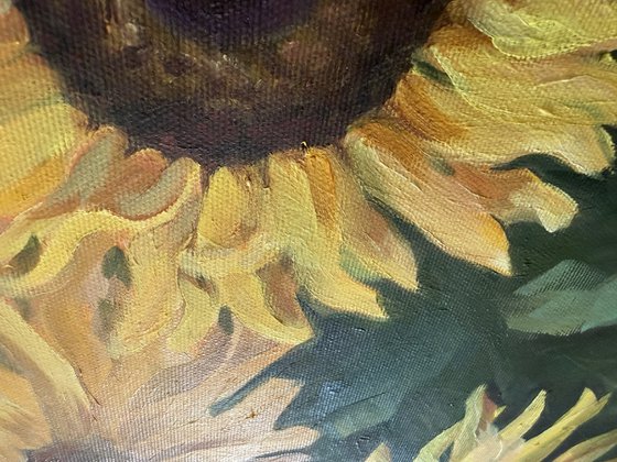 Sunflowers in Bloom
