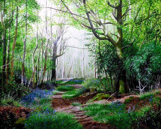 Forest Ways and Bluebell Days