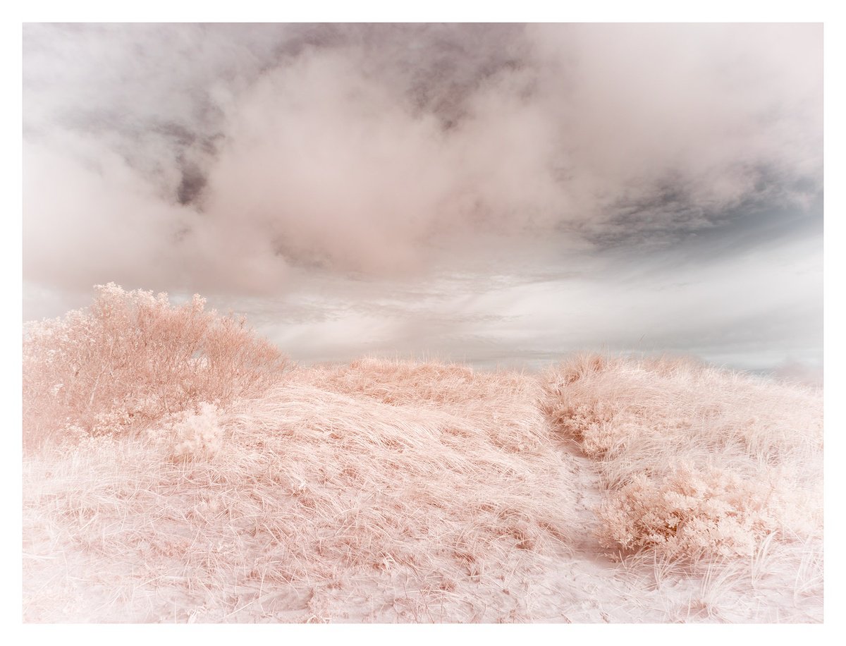 Photograph , Trail Over Dunes, Truro - Medium By Brooke T Ryan, 40 X 30, Artwork For Sale On Artfinder