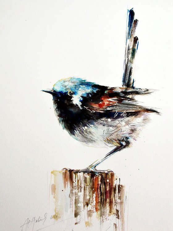 fairy wren A3