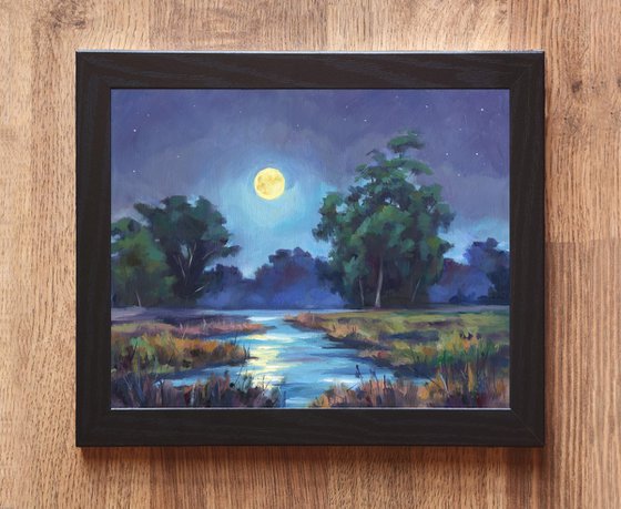 Night landscape in the swamp