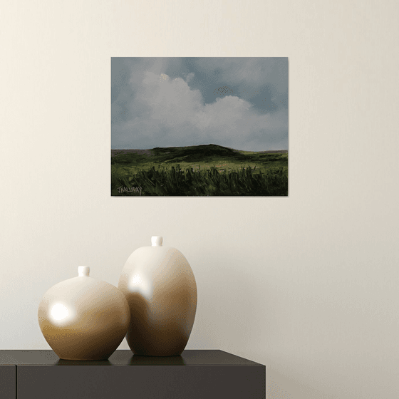 Grassland, Irish Landscape