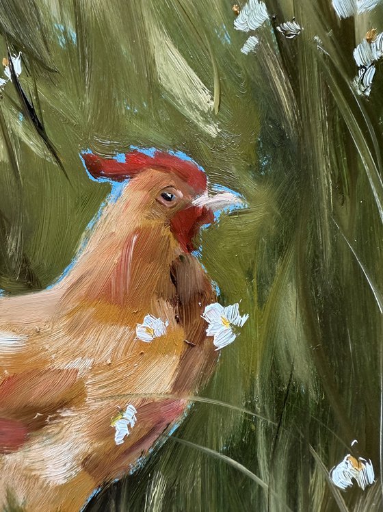 Chicken in the Meadow