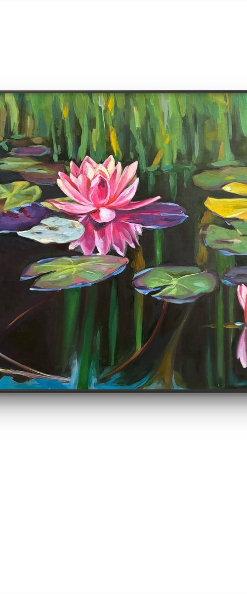 Colorful pond.Water lilies by Guzel Min