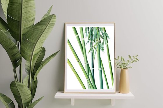 Calming bamboo