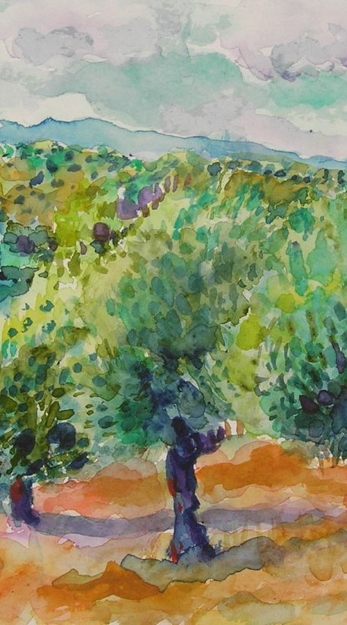 Olive trees of Puglia by Maja Grecic