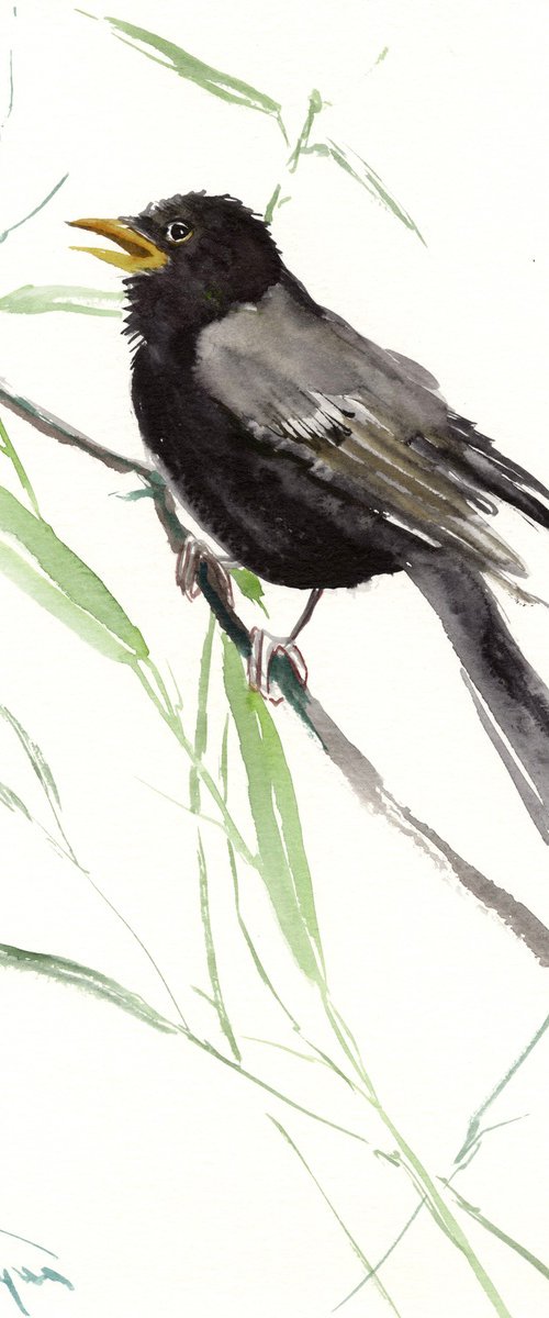 Blackbird by Suren Nersisyan
