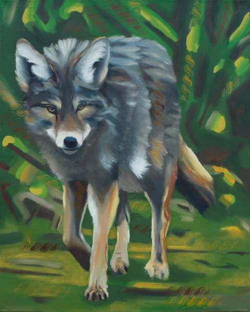 Eastern Coyote by Rebeca Fuchs