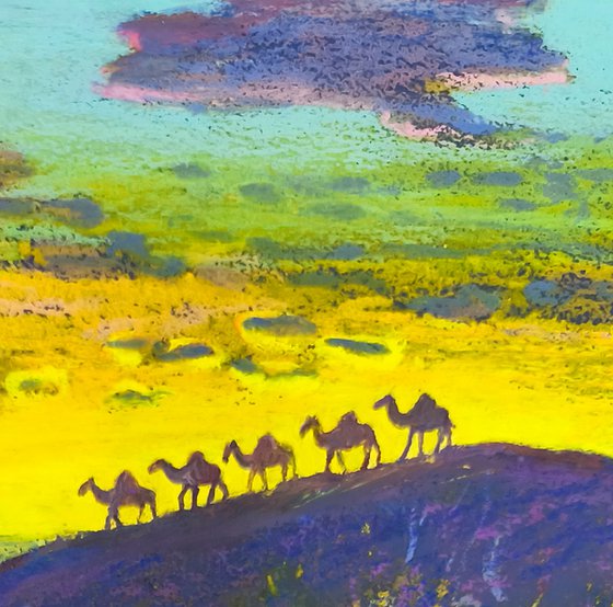 Snail Corals and a Camel Caravan