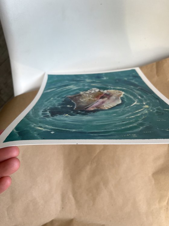 Treasury of the Sea