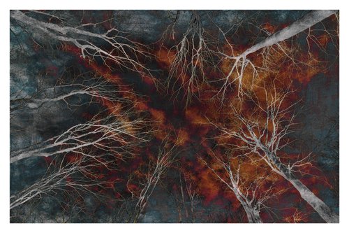 Fire in the Sky - 36 x 24"-  After Series by Brooke T Ryan