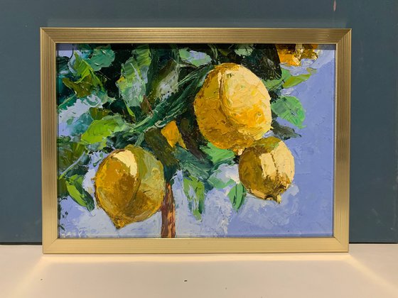 Lemon garden.