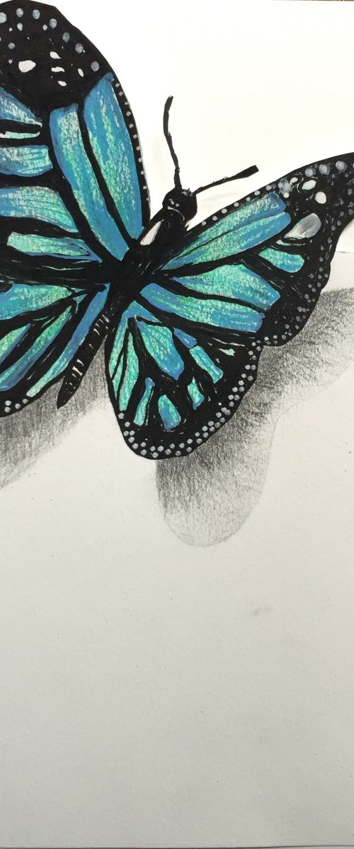 Butterfly 3D Blue by Kumi Muttu