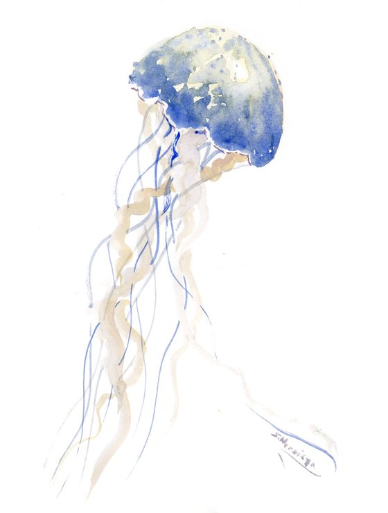 Jellyfish