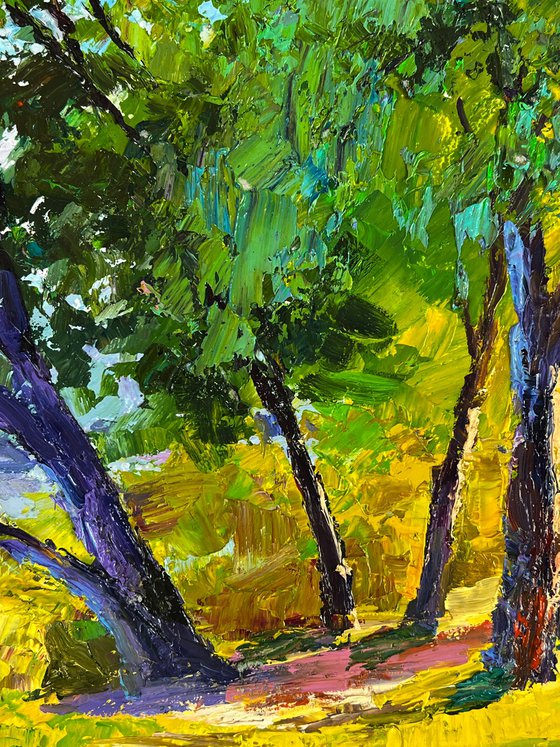 Summer Forest Glade