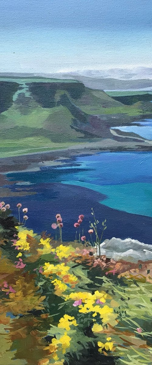 Spring Flowers On The Antrim Coast by Joseph Lynch