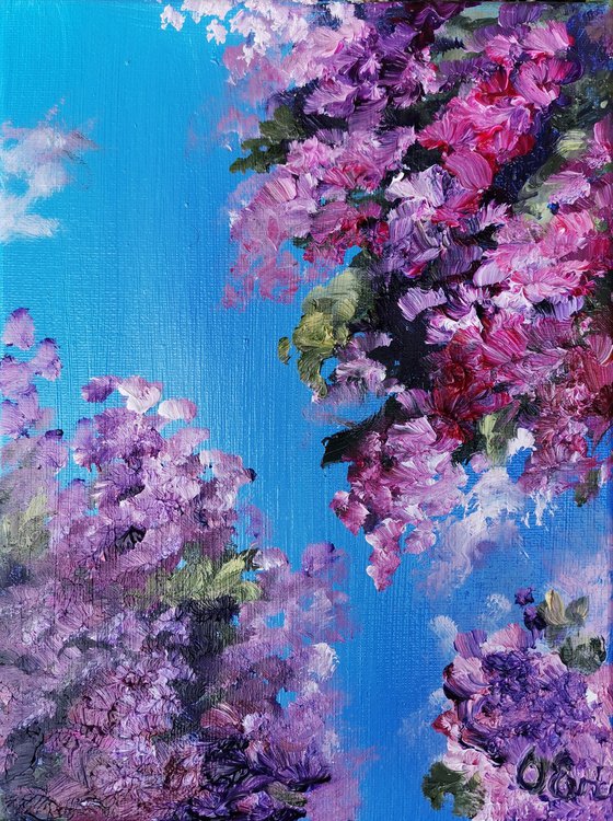 Purple bougainvillea. 18x24 cm. Impasto. Bouganville viola