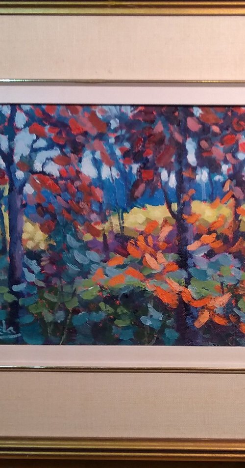 Algonquin Colours by Edward  Abela