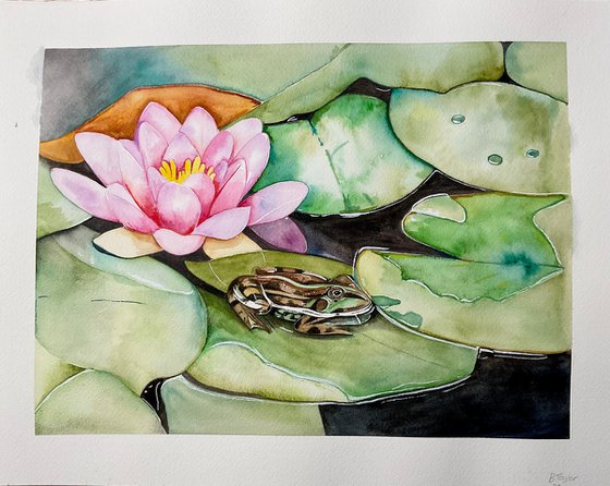 Lily pads and frog watercolour painting