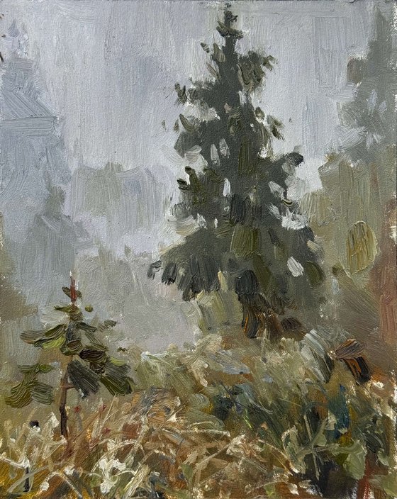 Fog in the Carpathians