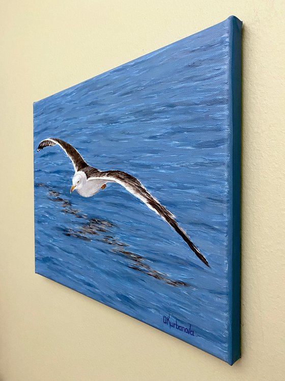 Flying seagull