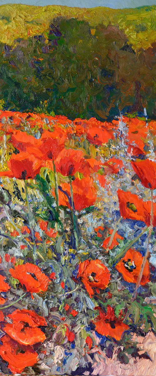 Alpine Poppies by Suren Nersisyan