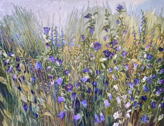 Bellflowers time