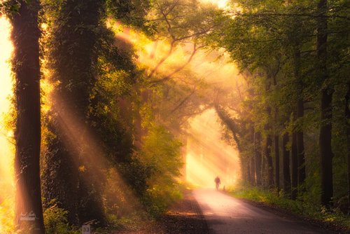 Morning with masters number 33 by Janek Sedlar