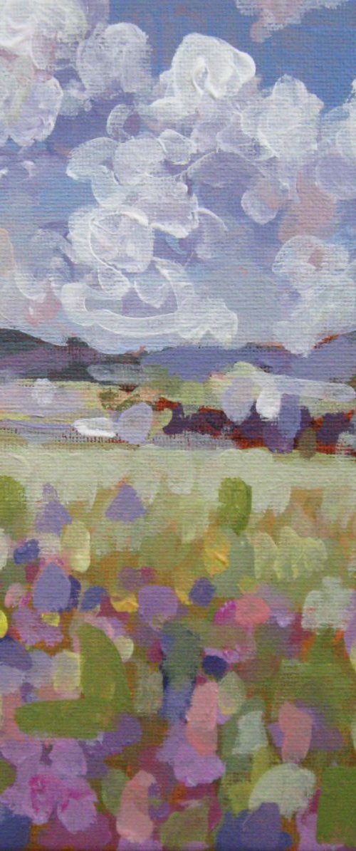 MEADOW by LENKA STASTNA