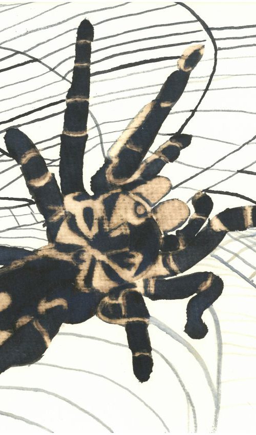 Spider I Animal Drawing by Ricardo Machado