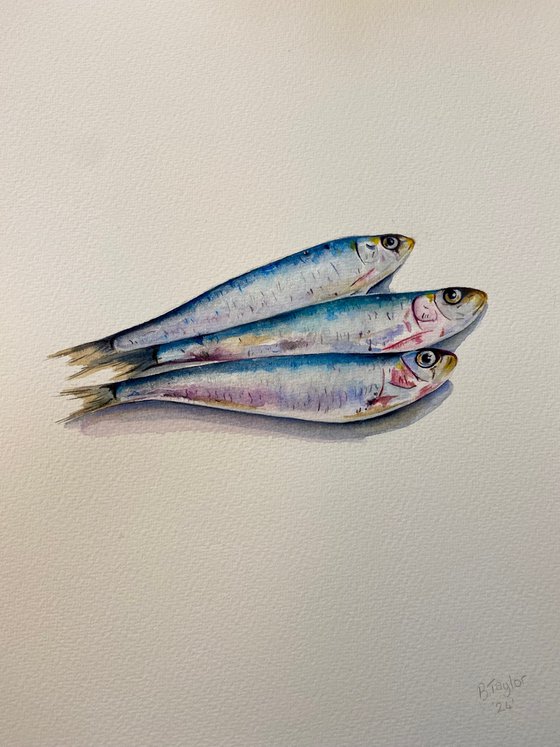 Sardines painting