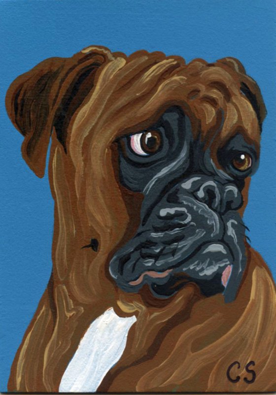 ACEO ATC Original Miniature Painting Red Boxer Pet Dog Art-Carla Smale