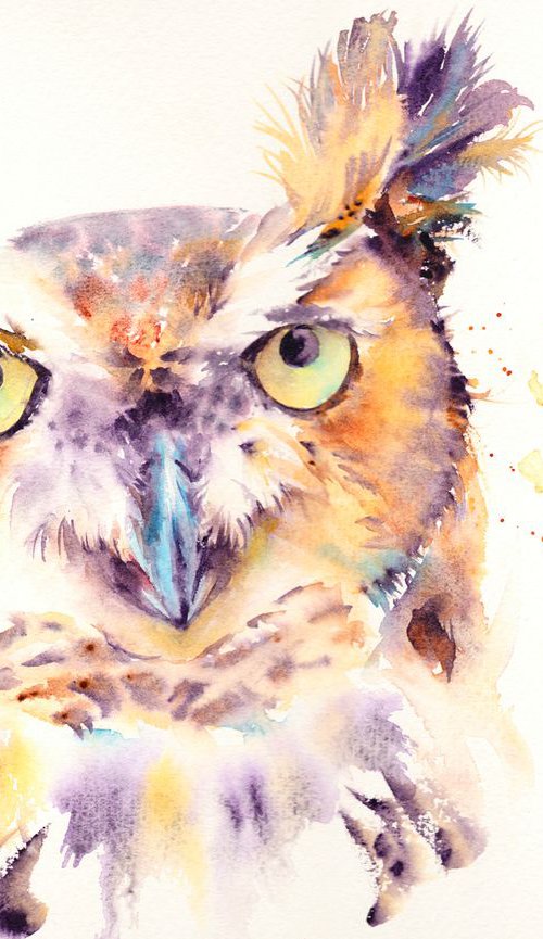 Owl by Anjana Cawdell