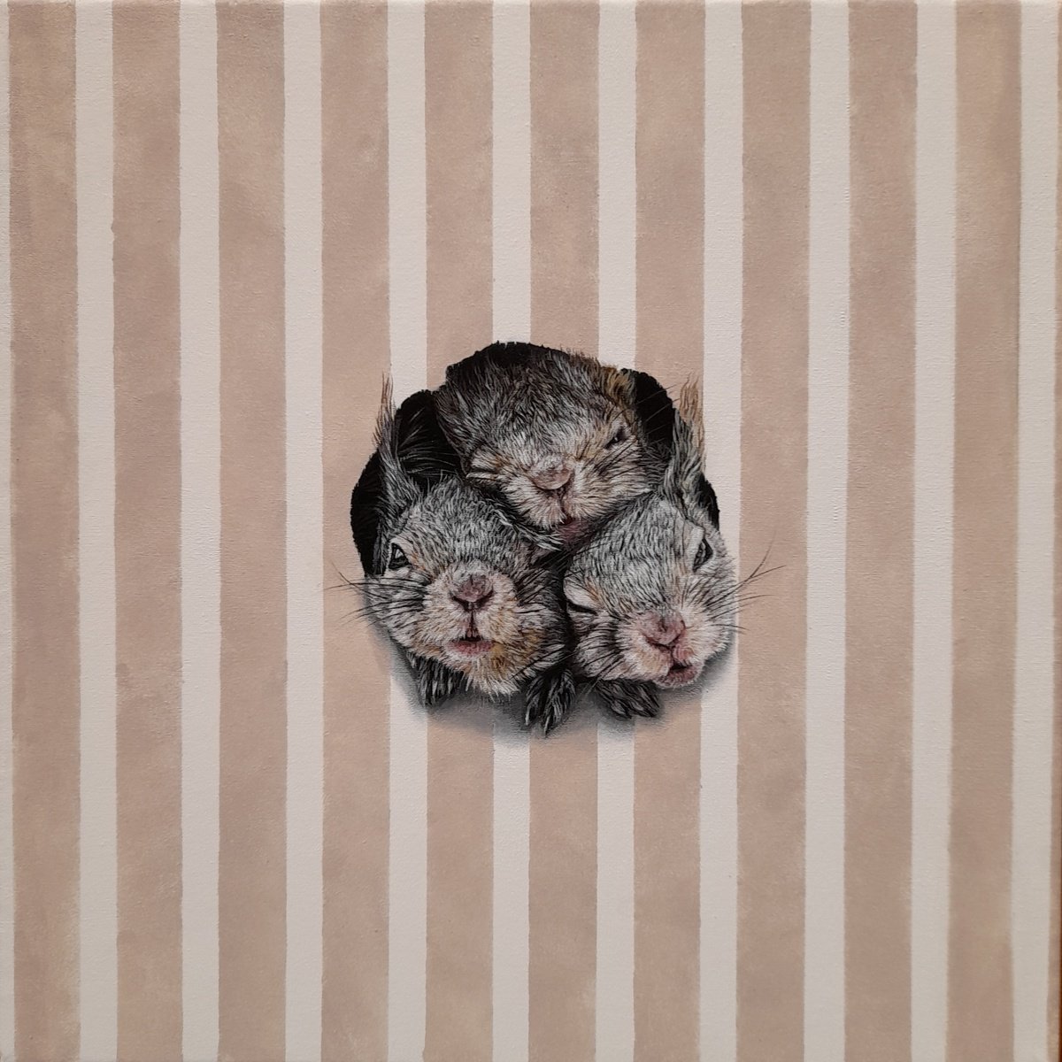 Photorealistic Animal Acrylic Painting By Claudia Daminato, 12 X 12, Surprise, Original Artwork