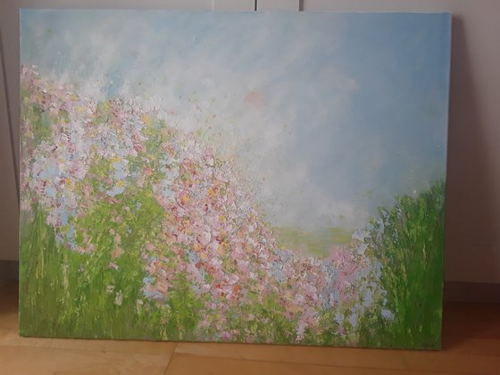 PINK SUMMER MORNING