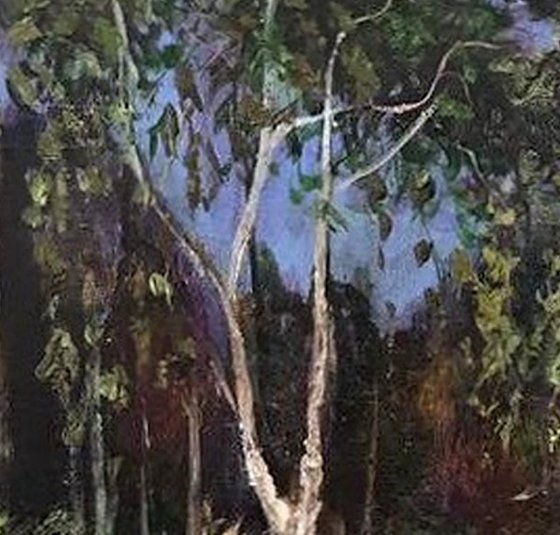 Eucalyptus Tree and Reeds